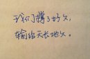 枯萎的爱情没人会看清