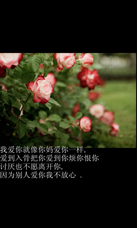 讨厌你也不愿离开你