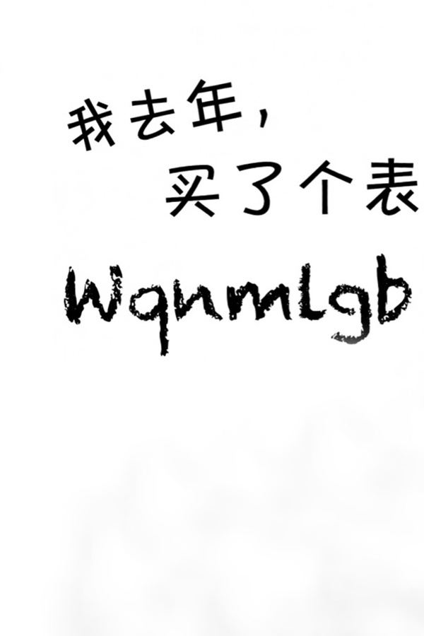 我去年买了个包