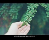 少年不懂爱的匆忙 时光的催促