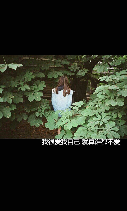怎么爱你，我连自己都不爱
