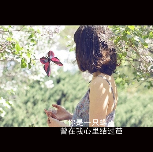 来我的长街,做我的归人