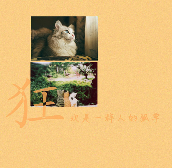请点击本图预览实际效果