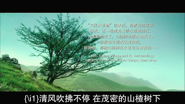 请点击本图预览实际效果