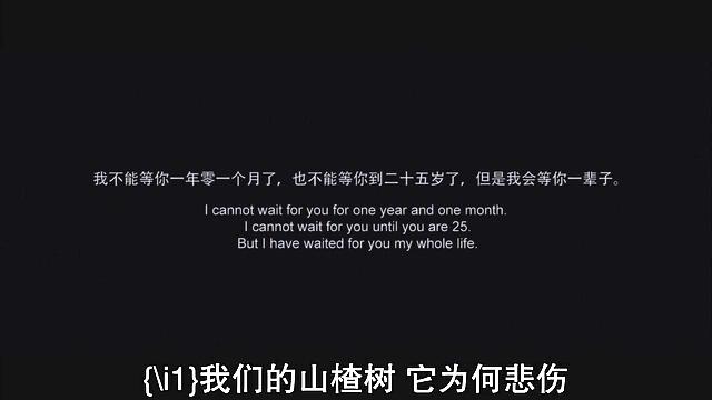 请点击本图预览实际效果
