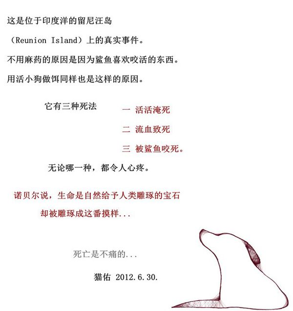 死亡是不痛的