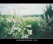 旧城里看不见新生的阳光