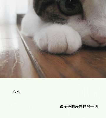 人是社会关系的总和
我们生活的世界 就像温和而充满力量的大海 纳百川而大
我曾经见过很苛刻的人
对比他强的人在抱怨 不如他的人他也要抱怨
为什么不能宽容别人呢？苛刻别人，实在消耗自己
宽容别人，却是找到了祝福自己的群体
