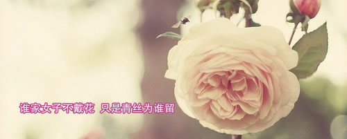 横板暖色调空间素材_我的秘密，锁在你的眼眶里