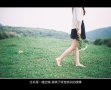 七年之爱的情感文字图片