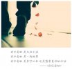 繁华过后丶曲终人未散