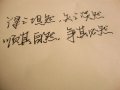 我可能不会爱你