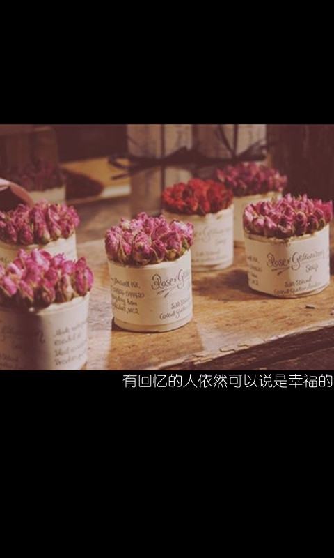 最后的回忆，我们不会哭