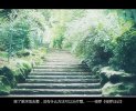 是是非非你要勇敢去面对