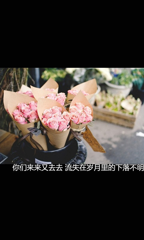 谁人又相信一世一生这肤浅对白