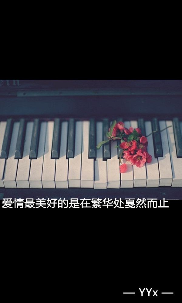 缠绕的蔷薇念一回痛一回