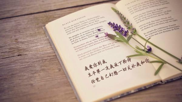 哭泣了太多，也不知是为了什么