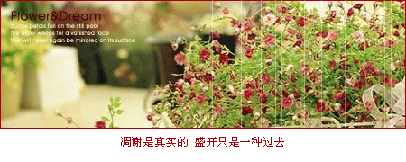 蹲下身 ，
看着自己的影子 ；
说一声 对不起 ，委屈你了 。
