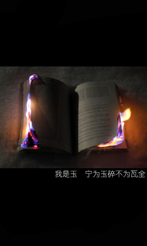 我是玉，宁为玉碎，不为瓦全