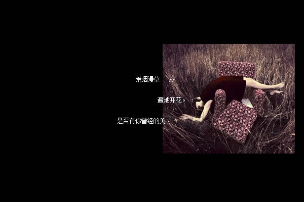 我的快乐不快乐都与任何人无关.
我冷漠.我冷淡, 我像刺猬!
浑身长满了刺!只因受伤了,
无力在承受更多的伤害,已经遍体鳞伤了, 你知道吗
