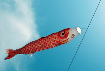现在我快要和你say goodbay 　
以后还会找到各自的关怀　
不要怕我没人爱　等待我的大有人在
