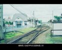 五百年后 我依然爱