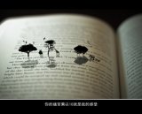 是什么让你冷了瞳 慌了心