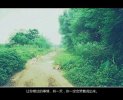 给你的爱 一直很安静