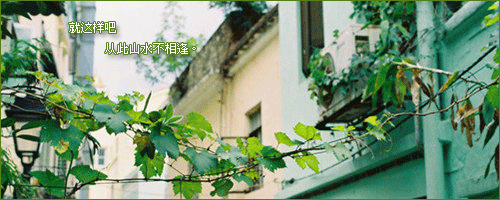 清新的流光横图_深夜微凉的空气吞噬情绪