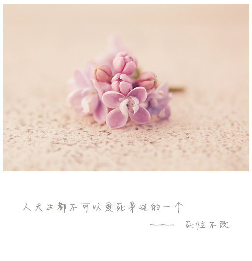 你不懂那是他醉心的神色。
如同在黑暗当空突见一块瑰宝，那种瞬间扼住喉管的醉心。
