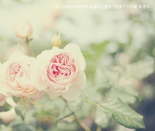 我不清楚现在的自己到底是怎样
不喜欢说话，只是默默听着别人的谈话
即使周围很多人，可感觉还是一个人
对着朋友我可以假装很开心
可当安静下来时，心里莫名的难过
我讨厌这种感觉 。
