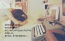 致命题 有一份沉浸、无言以对