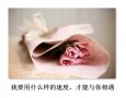 安娜 北回归线 情感图文