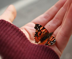 http://www.qqqqp.com/html/old8/shantu/
