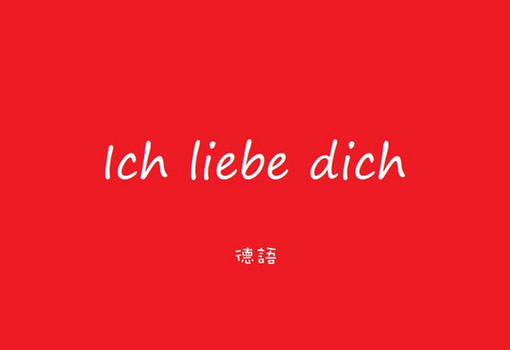 醉的不省人事,我把所有的东西都砸碎了,
关于你的,关于你李政的,我把对你所有的爱,所有的怀念都摔坏了,
我最亲爱的,你过的怎么样
没有我的日子,你别来无恙
能不能像过去一样,让我亲一亲
再叫我一声宝贝好不好,答应我.
我懂,其实我都懂,能不能让我在自欺欺其人一次,
你不是我,你不爱我
