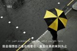 我很爱哭但我很羡慕鱼不会流眼泪