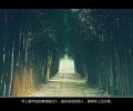 CC, 意境文字美图