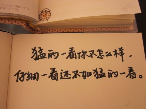 别试图来了解我什么
我不需要你有多懂我 把我看的多透
在我眼里 陪着我 不让我孤单就是你最大的了解
