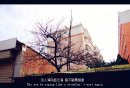 风情不止万种
