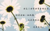 阿狸写的情书我想送给你
