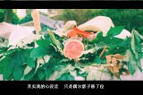 那些男孩，教会我爱