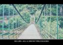 我们的爱，去哪里了？