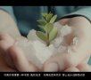 人这一生总有几个梦是要碎的