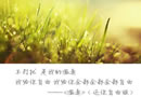 曾经那些扣人心弦的歌词