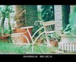 你不会遇见第二个我