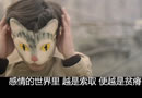 你向北,向南说再见.