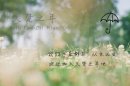 在这个颠沛流离的时代