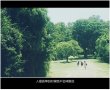 不属于我，我却还爱着