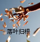 一抹阳光的生活图片素材_倾城倾国的微笑只因你而存