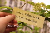 如果我没有什么可以帮到你 至少可以陪你